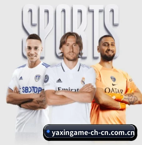 亚新体育 APP 界面(yaxin)