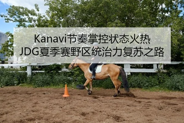 Kanavi节奏掌控状态火热 JDG夏季赛野区统治力复苏之路 - yaxin